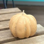 Candle Pumpkin Orange
