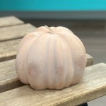 Candle Pumpkin Rose