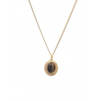 Lithos Tiger's Eye Necklace Gold